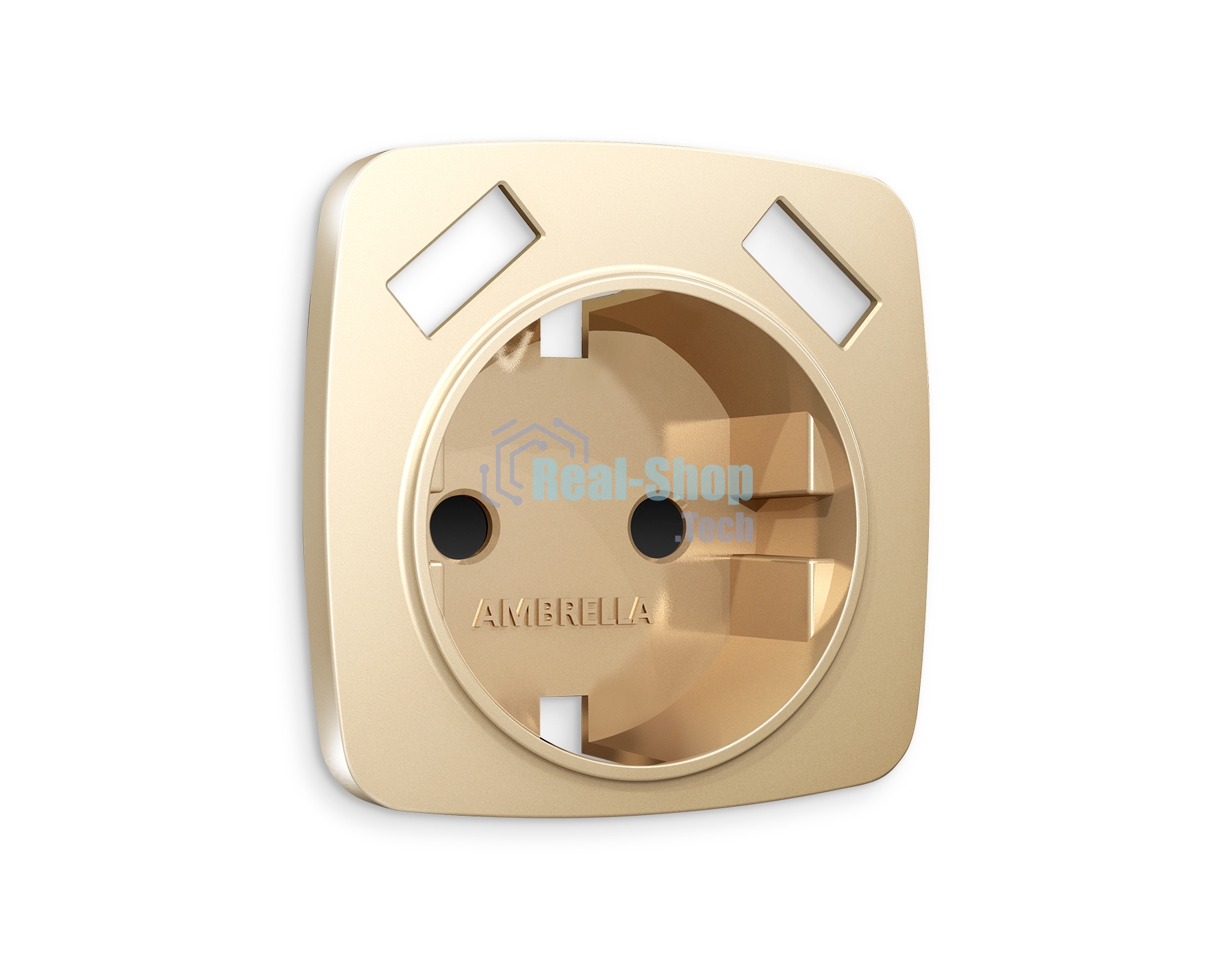 Лицевая панель OMEGA (Шампань) для электрической розетки с/з со шторками 2USB A+A QUANT OP6090