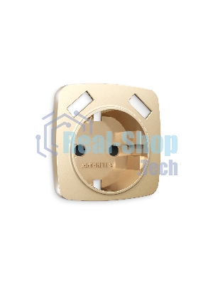Лицевая панель OMEGA (Шампань) для электрической розетки с/з со шторками 2USB A+A QUANT OP6090