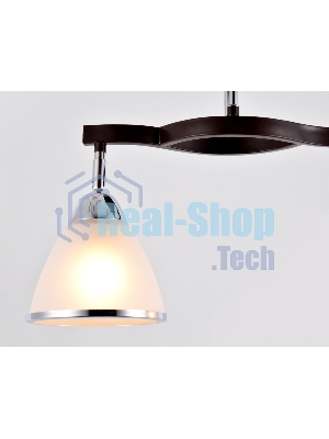 Светильник Ambrella light TR3111/2 DCF/CH темный кофе/хром E27 max 40W 400*150*315