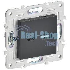SKANDY Розетка USB A+C 18Вт SK-R13T титан  | SK-U22-018-K48 | IEK
