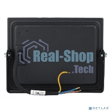 Прожектор LED LPR-041-1-65K-050 50Вт 3500Лм 6500К датчик нерегулир Б0043576 ЭРА