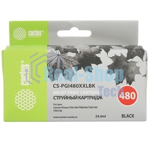 Картридж струйный Cactus CS-PGI480XXLBK черный (24.4мл) для Canon Pixma TR7540/TR8540/TS6140/TS8140