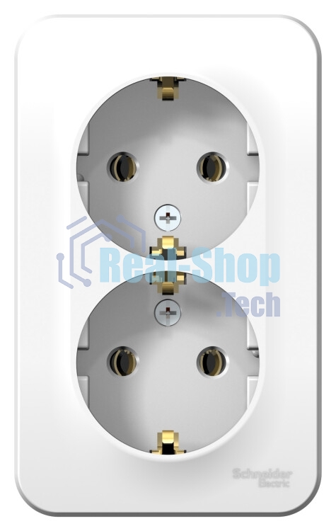 Розетка Schneider-electric BLNRA010201 Blanca О/У двойная с заземлением без шторок, 16А, 250В, белый