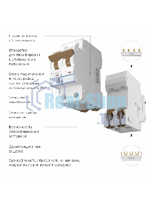 Автоматический выключатель Werkel 2P 10 A C 4,5 кА W902P104