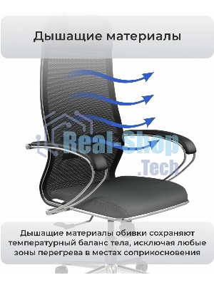 Кресло компьютерное ErgoLife Set 15/подл.131/осн.Synchro 052, черный 48D.16.1.403 z316737895