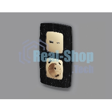 Лицевая панель OMEGA (Шампань) для электрической розетки с/з со шторками 2USB A+C QUANT OP6100