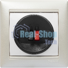 Розетка для колонок Valena 774223