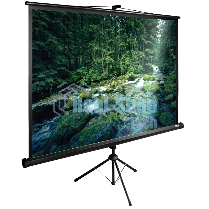 Экран Cactus 165x220 см TriExpert CS-PSTE-220х165-BK 4:3 напольный рулонный