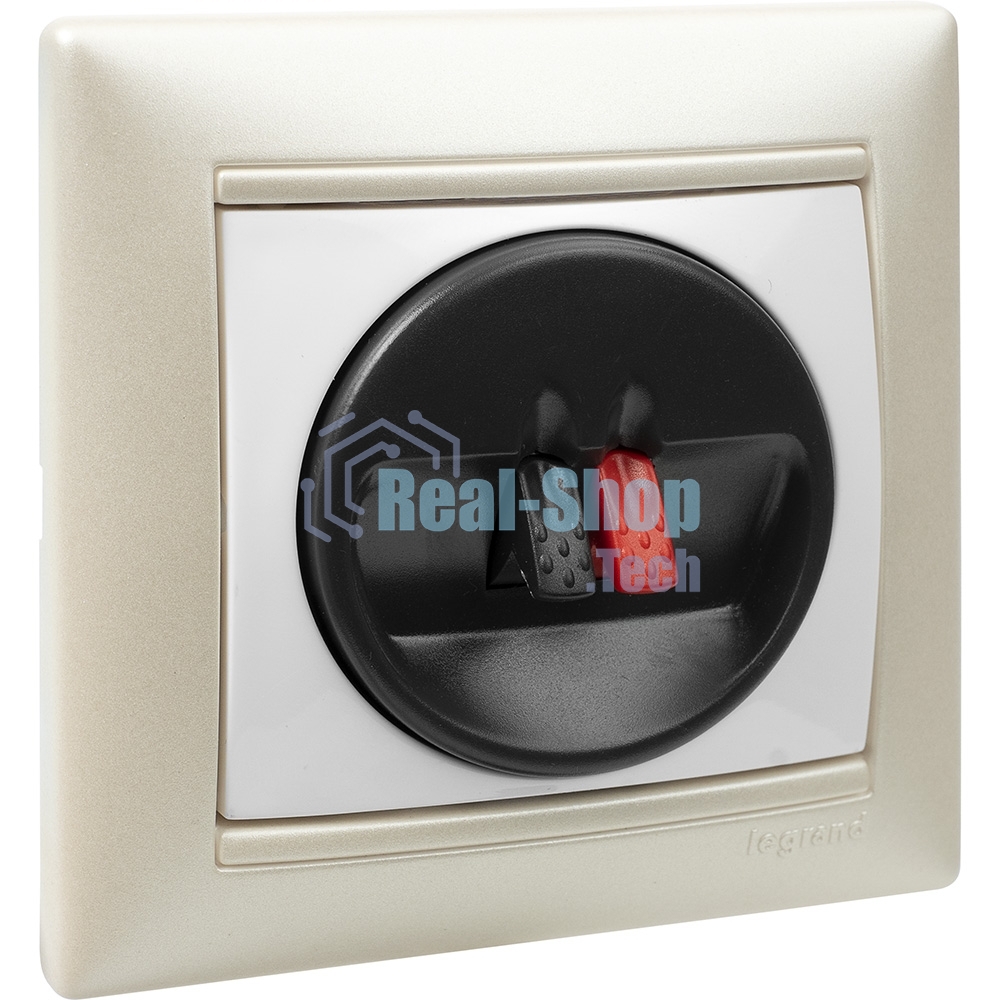 Розетка для колонок Valena 774223