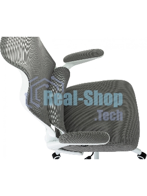 Кресло Бюрократ Sigma WH 1 серый, сетка