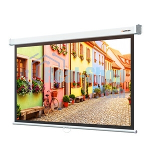 Настенный экран Lumien Eco Picture 178х280 см (рабочая область 170х272 см) Matte White прямоуголный корпус, возможность потолочн./настенного крепления, уровень в комплекте, 16:10