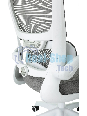 Кресло Бюрократ Sigma WH 1 серый, сетка