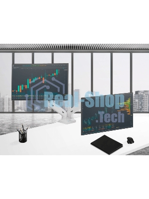 Кронштейн ONKRON G160 для монитора 13