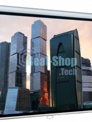 Настенный экран Lumien Eco Picture 229х305 см (рабочая область 221х297 см) Matte White прямоуголный корпус, возможность потолочн./настенного крепления, уровень в комплекте, 4:3