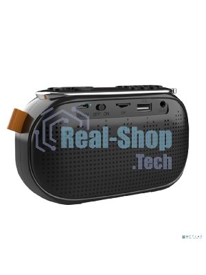 Радиоприемник Ritmix RPR-008 черный