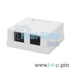 Розетка GEMBIRD NA214 RJ-45 кат.5e внешняя 2 порта, 110&Krone