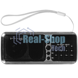 Радиоприемник портативный Сигнал РП-226BT черный/серебристый USB microSD