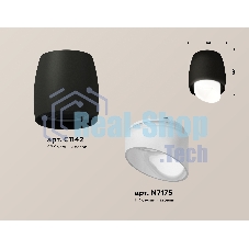 Светильник Ambrella Light XS1142042 SBK/FR черный песок/белый матовый MR16 GU5.3 (C1142, N7175)