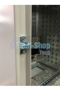 ЦМО Шкаф уличный всепогодный настен. 9U (600х500), передняя дверь вент. (ШТВ-Н-9.6.5-4ААА)