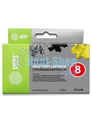 Картридж струйный Cactus CS-CLI8Y желтый (12 мл) для Canon Pixma iP4200, iP4300, iP4500, iP5100, iP5300, iP6600, iP6700, iP7500, iP7600, MP500, MP530, MP600, MP800, MP810, MP830, MP950, MP970, MX850, PRO-9000