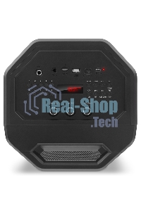 Колонка портативная Sven АС PS-680 черный 65W 1.0 BT