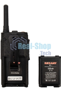 Портативная профессиональная радиостанция Rexant R-1