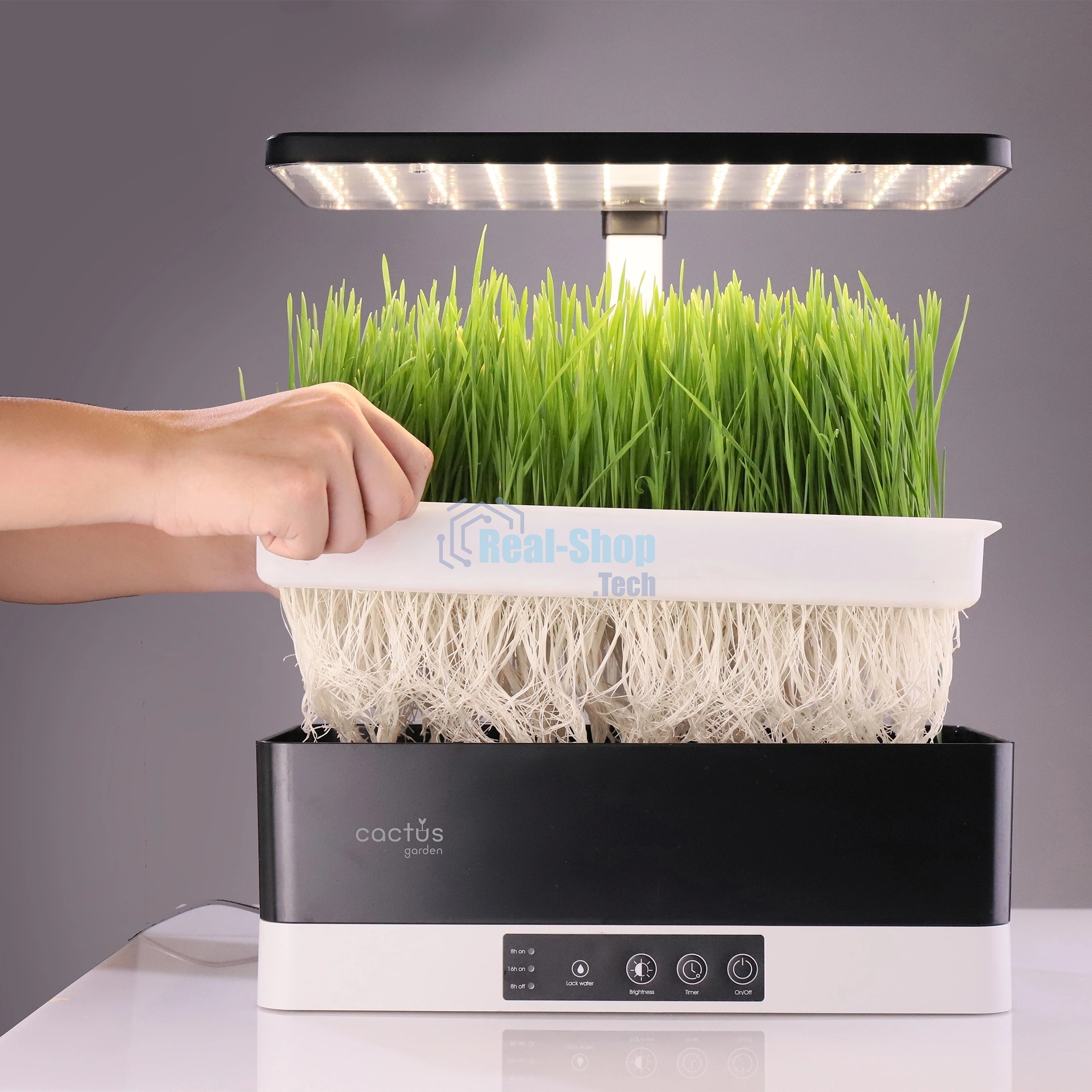 Гидропонная установка Cactus Garden 3.0л 24Вт черный (CS-LEDPOT-11)