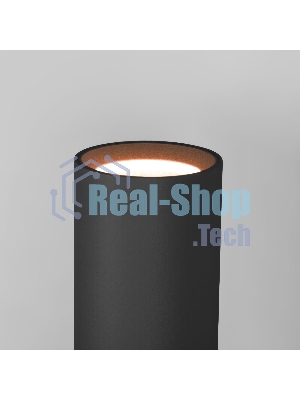 40123/LED/ Светильник настенный светодиодный Langer черный