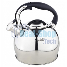 Чайник для плиты Zeidan Z-4166 3,0 л