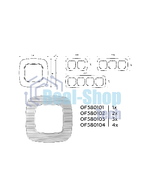Рамка OMEGA Radian (Серебро Металл шлифованный) 2-ая OF580102