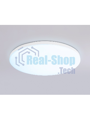 Умный светодиодный светильник FZ2001 WH белый IP54 20W 3000K-6500K+RGB Wi-Fi Алиса/Tuya/Smart Home/Alexa D300*55 (ПДУ ИК)
