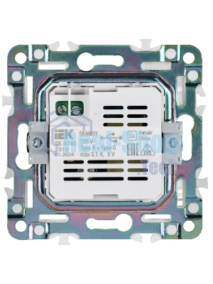 SKANDY Розетка USB A+C 3,1А SK-R14S серебряный  | SK-U22-D31-K23 | IEK
