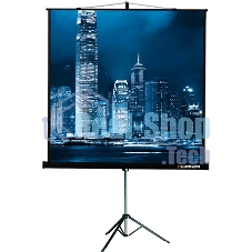 Экран на треноге Lumien 183x244см Master View LMV-100108 4:3 напольный рулонный