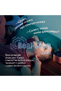 Умная колонка Sber Boom Home SBDV-00171G Салют серый 8W Mono BT/Wi-Fi (без.бат)