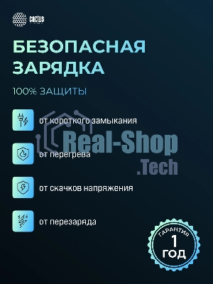Портативный аккумулятор Cactus CS-PBFSFA-20000 20000mAh 4.5A 2xUSB-A/USB-C серый