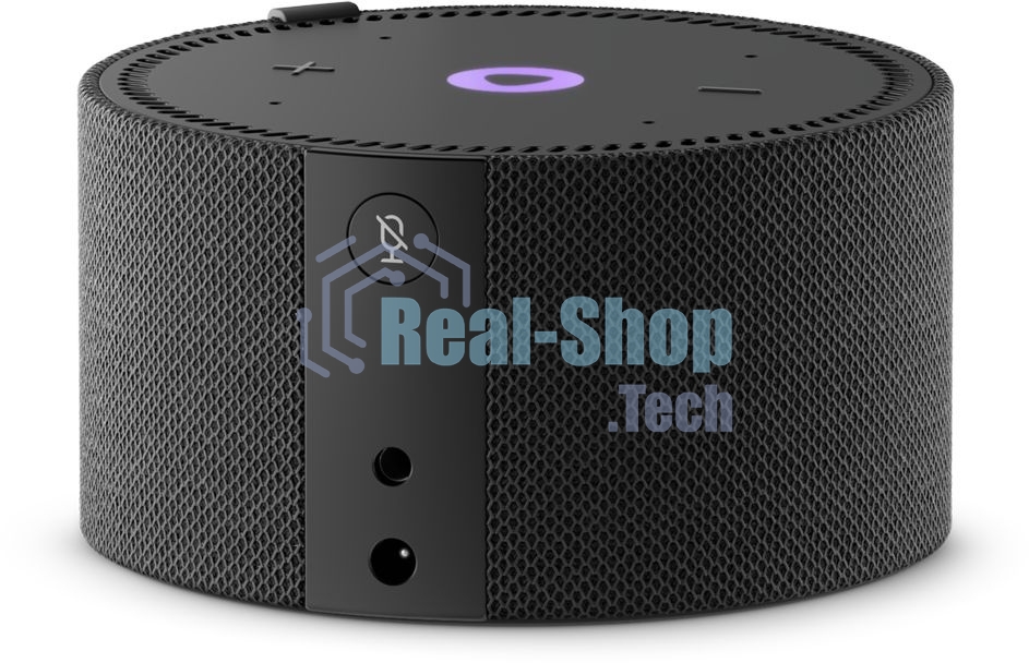 Умная колонка Яндекс Станция Мини, 10Вт, с голосовым ассистентом Алиса на YaGPT, с LED-часами, черный