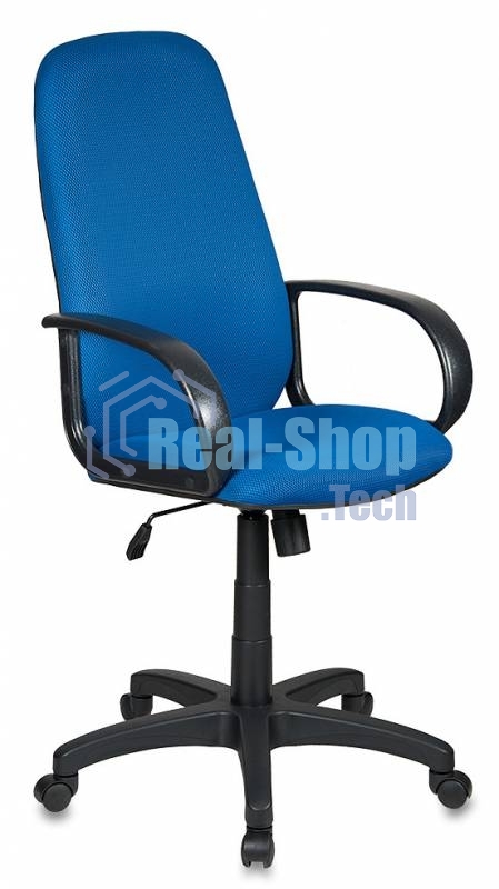 Кресло руководителя Бюрократ CH-808AXSN/TW-10 синий TW-10