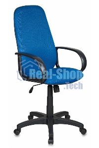 Кресло руководителя Бюрократ CH-808AXSN/TW-10 синий TW-10