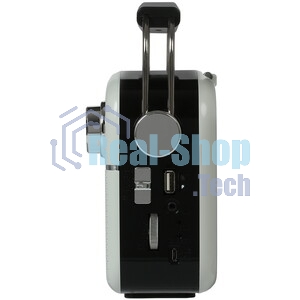 Радиоприемник белый SVEN SRP-505 (4 Вт, FM/AM/SW, USB, SD/microSD, Bluetooth, 1200 мАч)