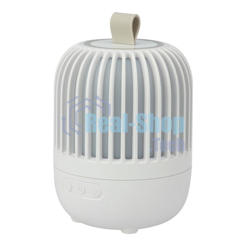 Светодиодный ночник-проектор Neon-night Melony