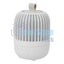 Светодиодный ночник-проектор Neon-night Melony