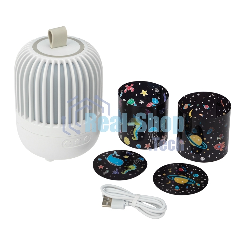 Светодиодный ночник-проектор Neon-night Melony