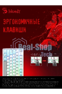 Клавиатура проводная A4Tech Bloody S510N USB белый