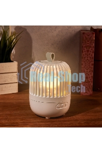 Светодиодный ночник-проектор Neon-night Melony