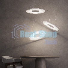 101001 LED / подвесной светильник / белый
