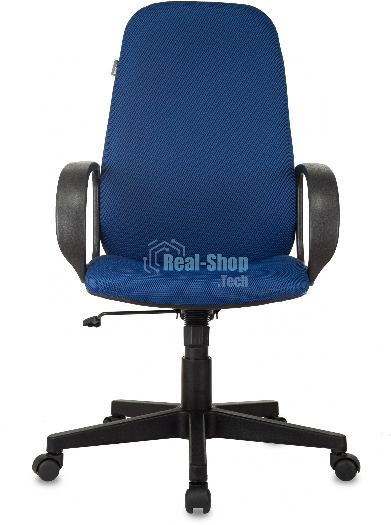 Кресло руководителя Бюрократ CH-808AXSN/TW-10 синий TW-10