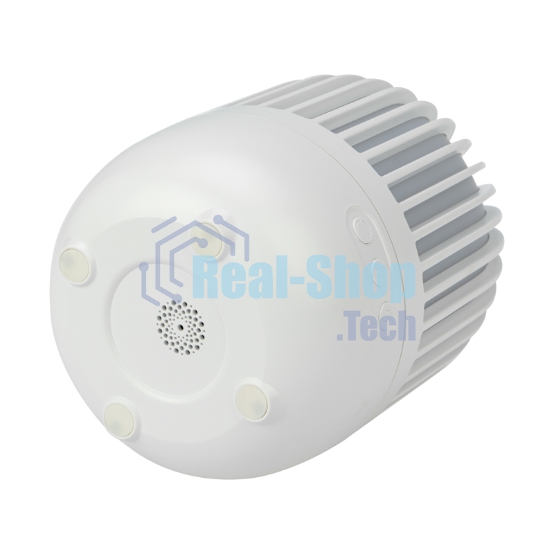 Светодиодный ночник-проектор Neon-night Melony