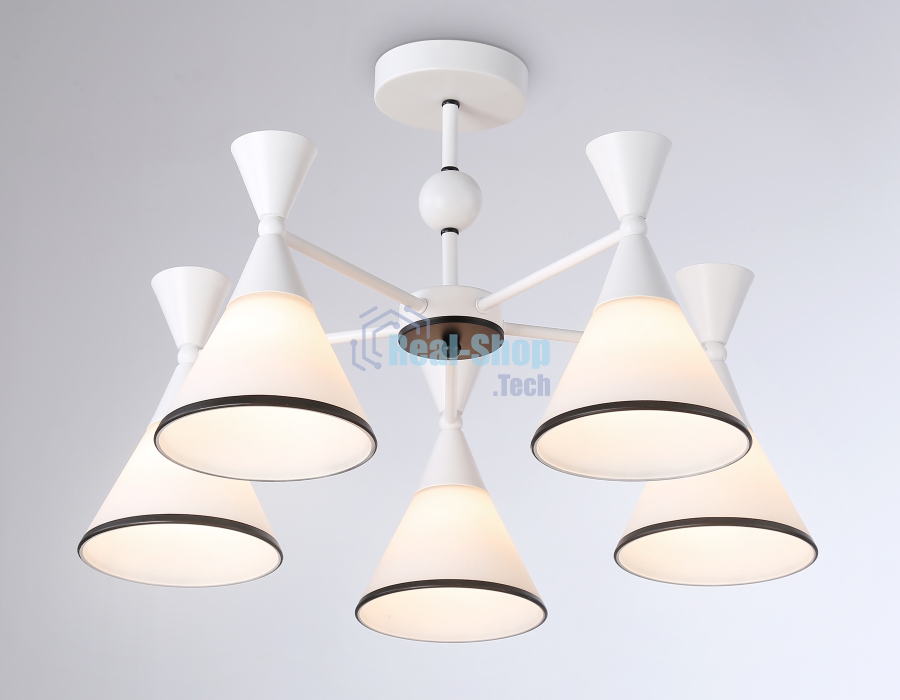 Светильник Ambrella light TR3165/5 WH/BK белый/черный E27/5 max 60W D580*380
