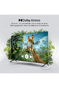 Телевизор Digma 65