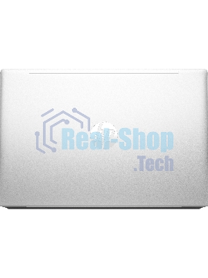Ноутбук HP ProBook 440 G10 серебристый Intel Core i7 1355U 1700MHz/14
